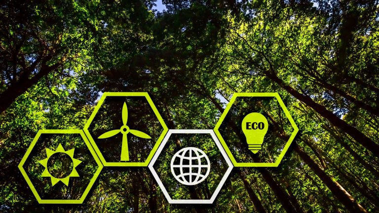 Plural Gas And Electricity