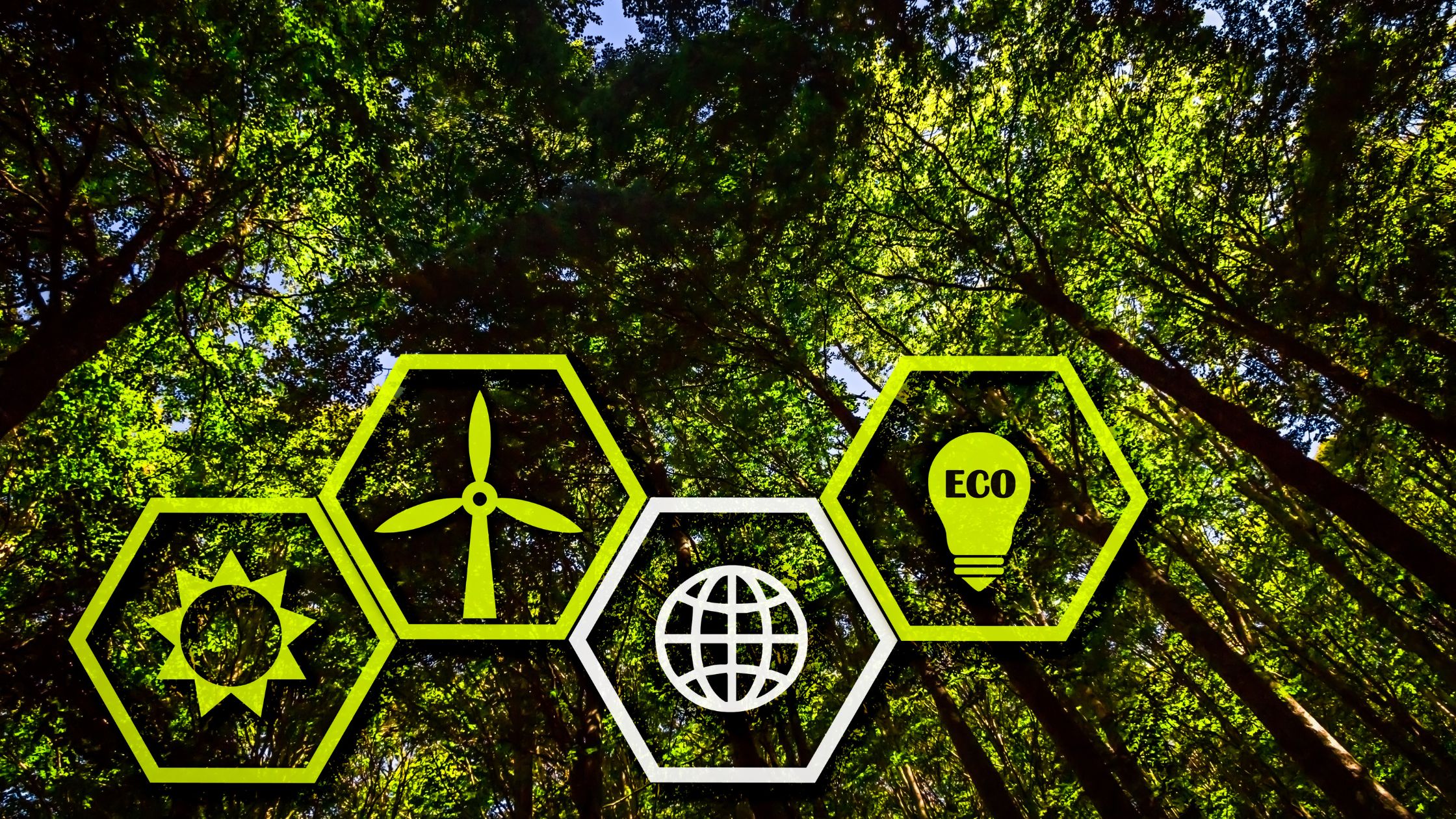 Plural gas and electricity